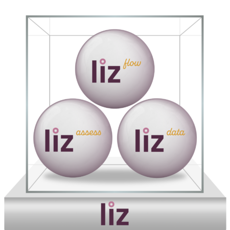 Glass box filled with three balls and named: liz flow, liz assess, and liz data within it. The word liz is captured below.