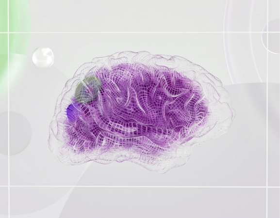 stylized image of a human brain made from purple and clear netting on a semi-opaque background.