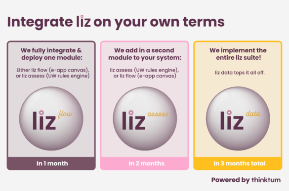 Three panels with liz circles. Above it reads: Integrate liz on your own terms. Left column panel reads: We fully integrate & deploy one module: either liz flow or liz assess in one month. In center panel: We add in a second module to your system: liz assess or liz flow in 2 months. Last panel shows We implement the entire liz suite. liz data tops it all off. In 3 months total. With powered by thinktum below.